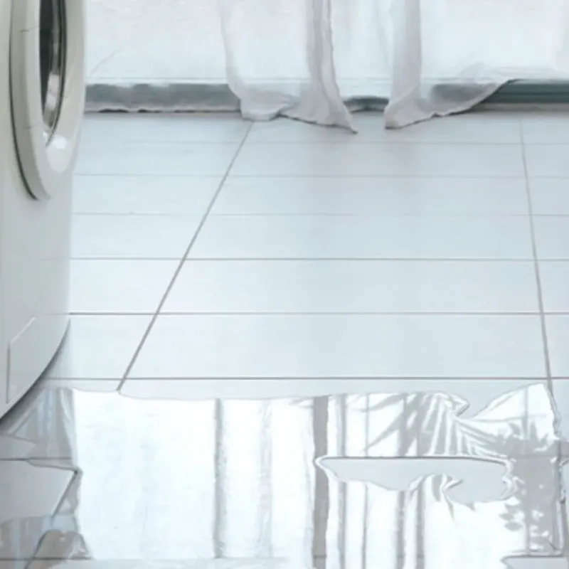 Appliance Leak Cleanup in Linn County, OR