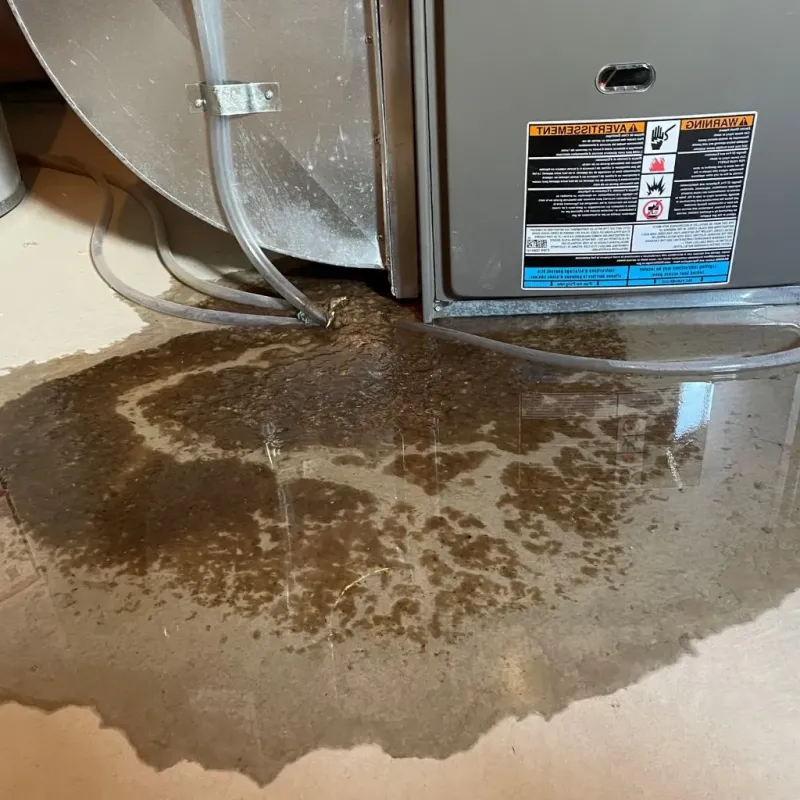 Pipe Burst and Leak Restoration in Linn County, OR
