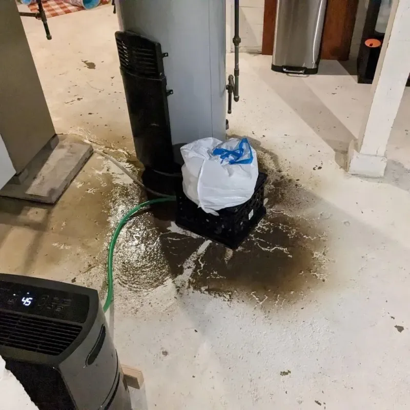Sewage Backup Cleanup Service in Linn County, OR